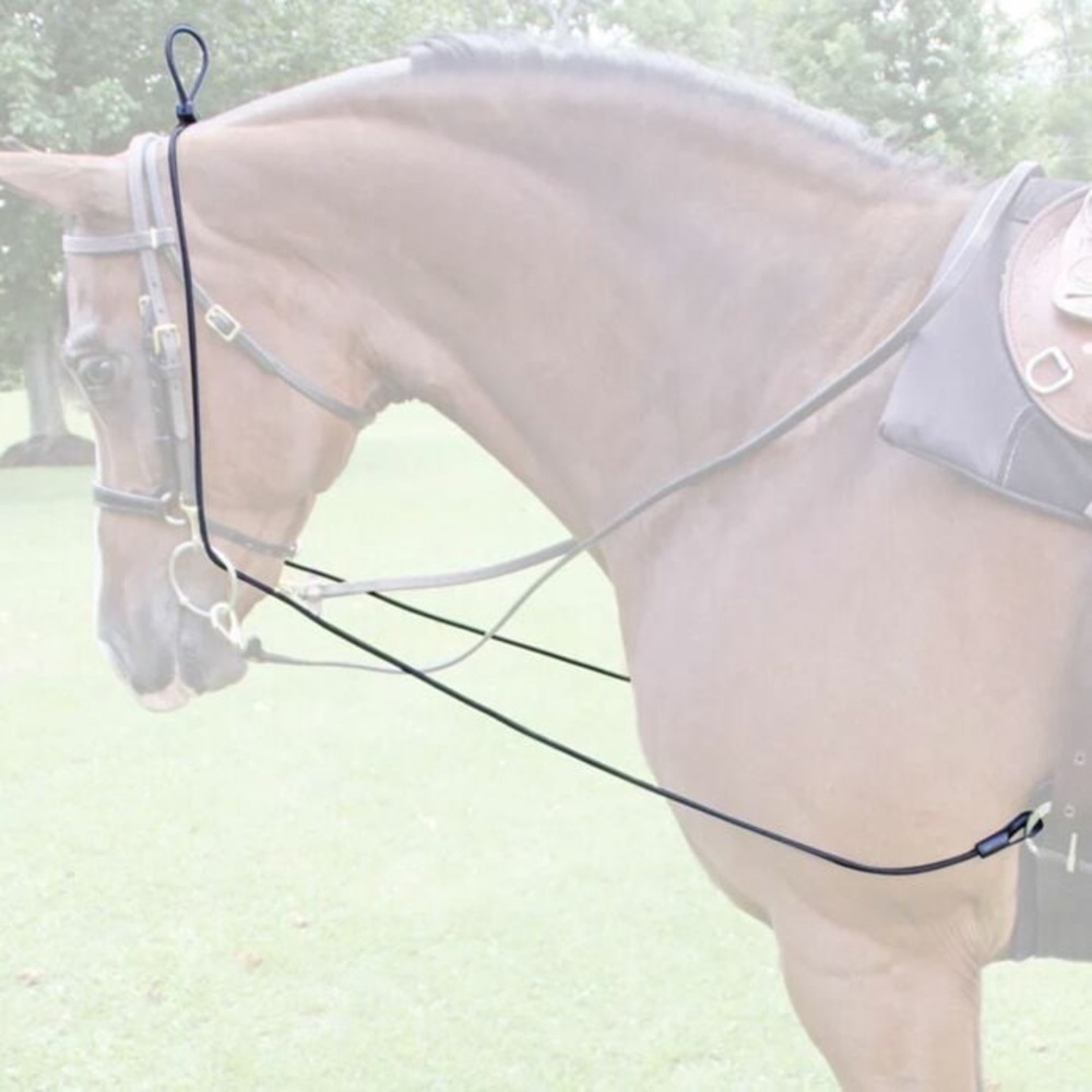 Contender Equine Horse Neckflexer Training Aid Equestrian